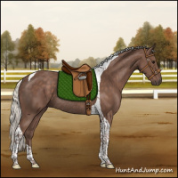 Horse Color:Silver Black Tobiano Rabicano 