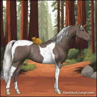 Horse Color:Silver Black Tobiano Rabicano