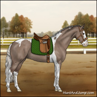 Horse Color:Silver Grullo Splash Tobiano Rabicano 