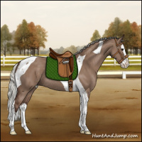 Horse Color:Silver Grullo Splash Tobiano Rabicano