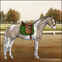 Horse Color:Silver Grullo Splash Tobiano Rabicano 