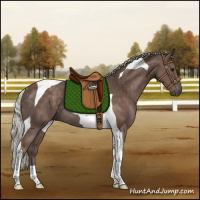 Horse Color:Silver Black Tobiano Rabicano 