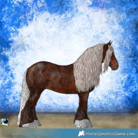 Horse Color:Chocolate Silver Brown Ice Rabicano 