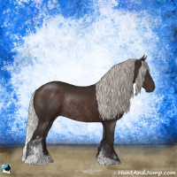 Horse Color:Silver Brown Sabino Rabicano 