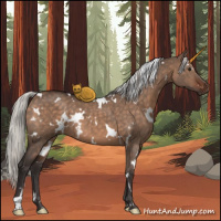 Horse Color:White Spotted Silver Brown Dun 