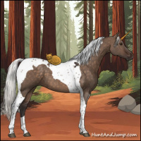 Horse Color:Silver Brown Dun Tobiano 