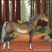Horse Color:Silver Buckskin Dun Tobiano 