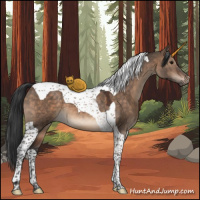 Horse Color:Brown Dun Tobiano 