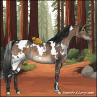 Horse Color:White Spotted Brown Dun 