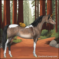 Horse Color:Brown Dun Sabino Tobiano
