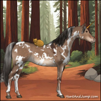 Horse Color:White Spotted Liver Red Dun 