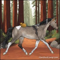 Horse Color:Brown Dun Tobiano Rabicano