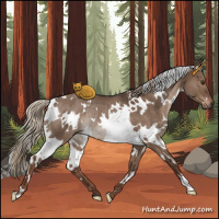 Horse Color:White Spotted Liver Red Dun Rabicano 