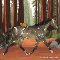 Horse Color:White Spotted Buckskin Dun 