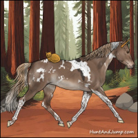 Horse Color:White Spotted Liver Red Dun Tobiano 