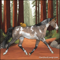 Horse Color:White Spotted Brown Roan Dun Frame