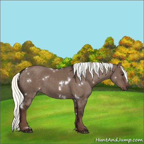 Horse Color:White Spotted Liver Red Dun Mushroom 