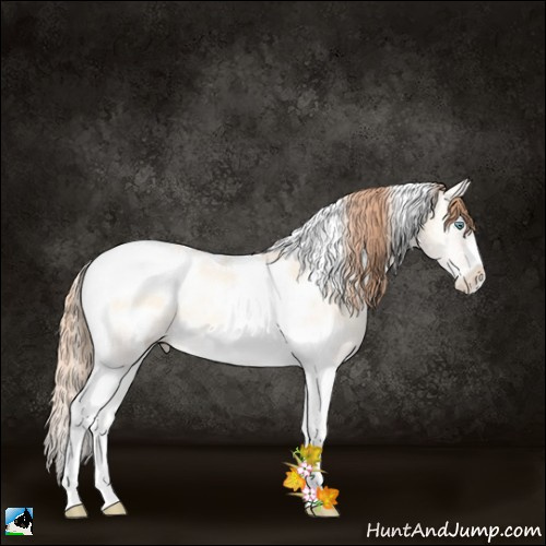 Horse Color:Classic Cream Champagne Ice Pearl Onyx Tobiano Frame 