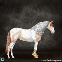 Horse Color:White Spotted Sable Champagne Pearl Tobiano 