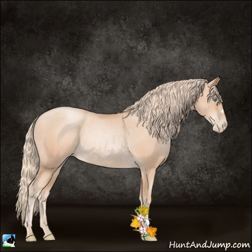 Horse Color:Gold Champagne Pearl Rabicano 