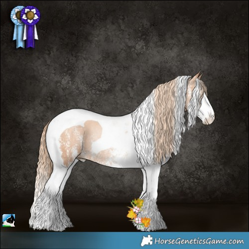 Horse Color:White Spotted Gold Champagne Pearl Splash Tobiano Rabicano 
