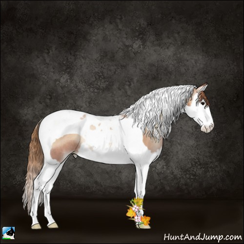 Horse Color:Blue Onyx Pearl Splash Tobiano Rabicano 