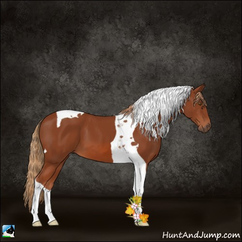 Horse Color:Chestnut Tobiano 