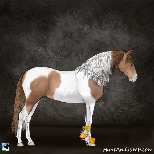 Horse Color:Liver Chestnut Pearl Tobiano 
