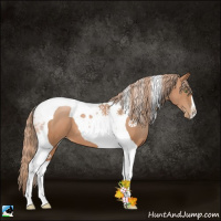 Horse Color:Chestnut Pearl Tobiano 