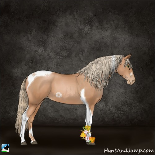 Horse Color:Chestnut Pearl Tobiano