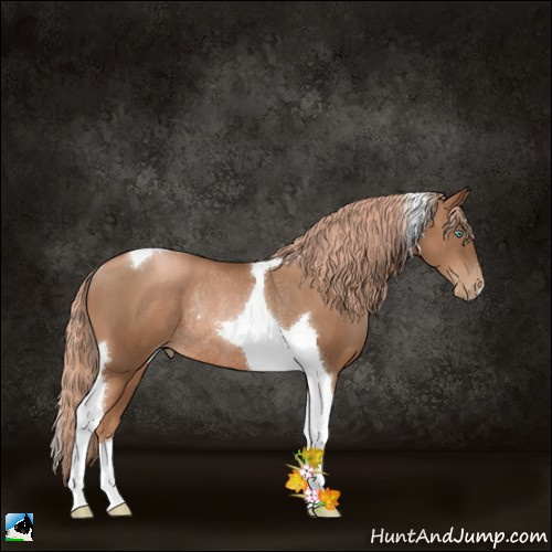 Horse Color:Liver Chestnut Pearl Tobiano Rabicano 