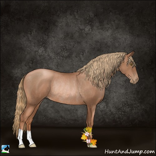 Horse Color:Liver Chestnut Pearl Rabicano 