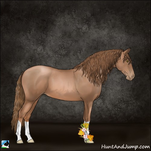 Horse Color:Liver Chestnut Pearl 