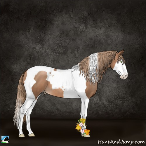 Horse Color:Liver Chestnut Pearl Splash Tobiano 