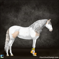 Horse Color:Gold Champagne Pearl Splash Tobiano Rabicano 