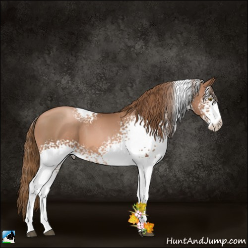 Horse Color:White Spotted Liver Chestnut Pearl Tobiano 