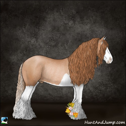 Horse Color:Chestnut Pearl Splash Rabicano 