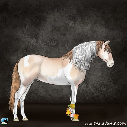 Horse Color:Gold Champagne Pearl Onyx Tobiano 
