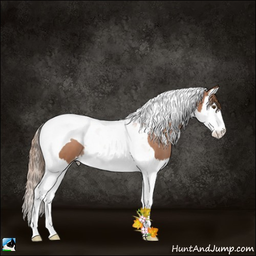 Horse Color:Black Pearl Splash Tobiano 