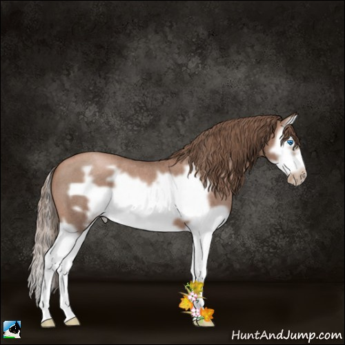 Horse Color:Blue Roan Pearl Splash Frame 