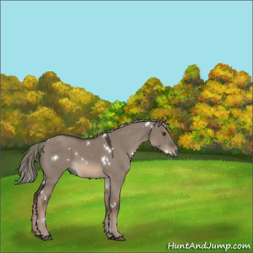 Horse Color:White Spotted Liver Red Dun Mushroom 