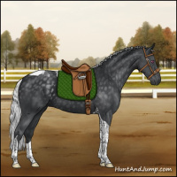 Horse Color:Silver Black Chinchilla Tobiano 