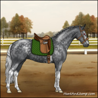 Horse Color:White Spotted Silver Black Chinchilla Rabicano