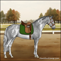 Horse Color:White Spotted Silver Grullo Chinchilla Rabicano