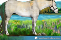 Horse Color:Plaid White Spotted Liver Red Dun Rabicano