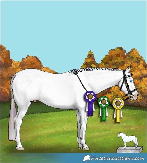 Horse Color:Nacre White Spotted Liver Red Dun Ice Sabino Splash Rabicano 