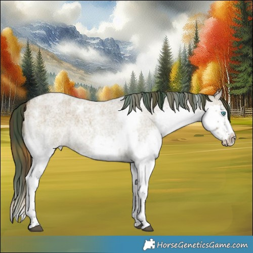 Horse Color:Plaid  White Spotted Liver Red Dun Roan Splash 