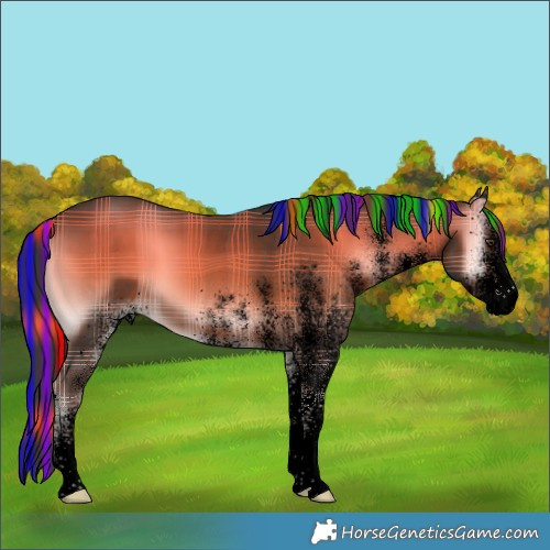 Horse Color:Void Painted Plaid  White Spotted Liver Red Onyx 