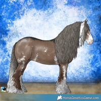 Horse Color:Liver Red Dun Mushroom Sabino