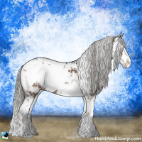 Horse Color:Liver Red Dun Mushroom Sabino 